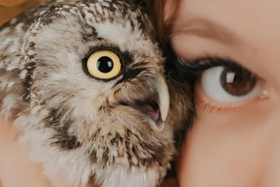 Casino AllStar Slots Kundeservice